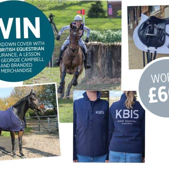 Win KBIS Breakdown and Lesson with Georgie Campbell