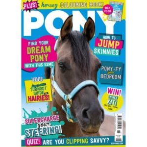 PONY Magazine – November 2021