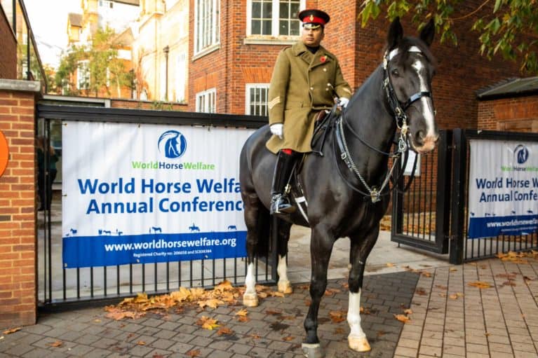 World_Horse_Welfare_Annual_Conference