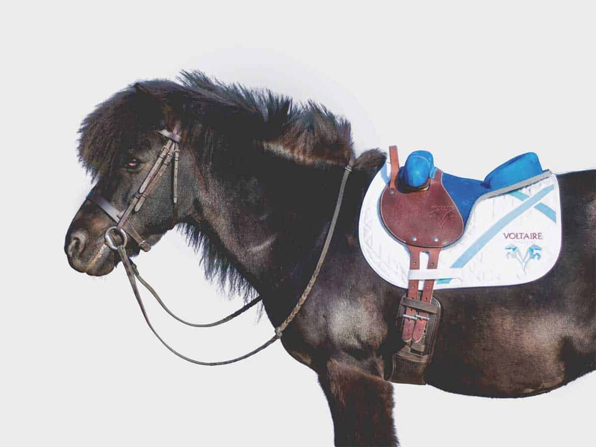 Voltaire Design Bardette saddle