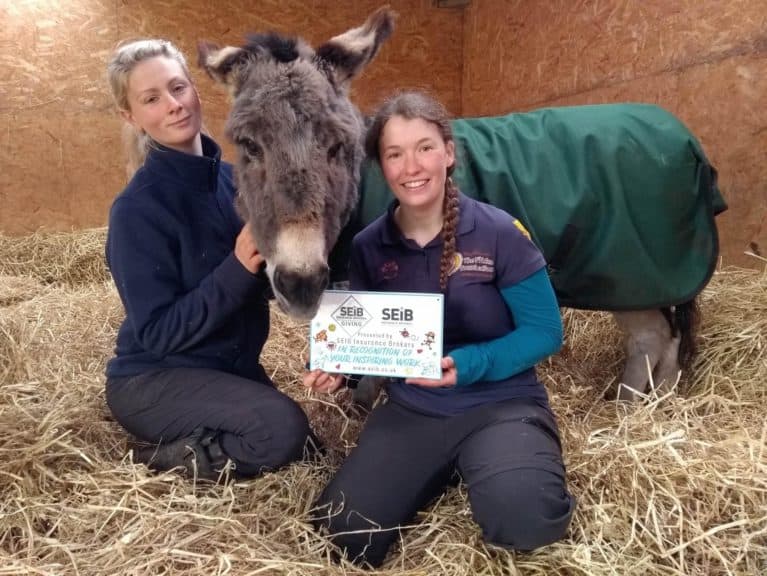 Flicka Foundation Donkey Sanctuary receive an SEIB Giving Award in 2020 L to R Henrieke Freeman, Emma the Donkey, Charlotte Main