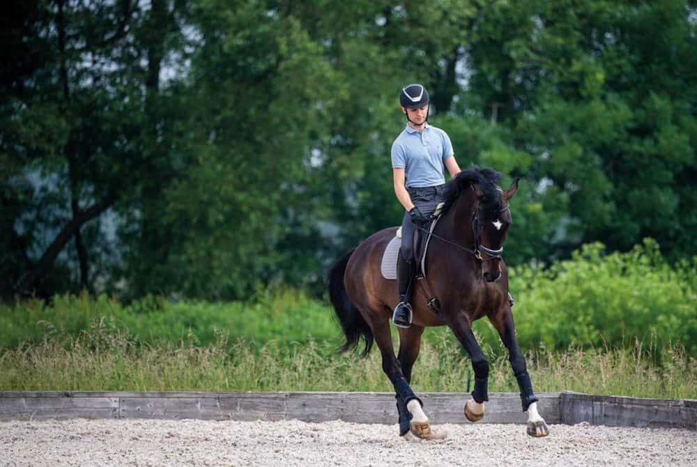 Dan Greenwood improving your horse's canter