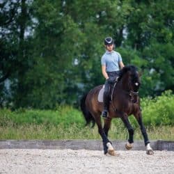 Dan Greenwood improving your horse's canter