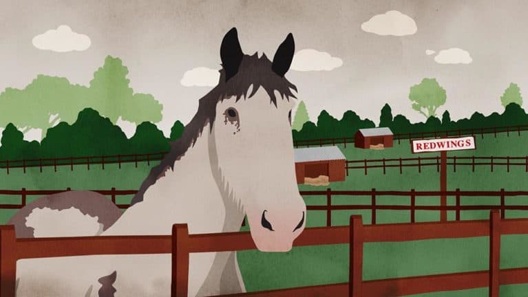 Redwings Horse Sanctuary needs your help to win Charity Film Award