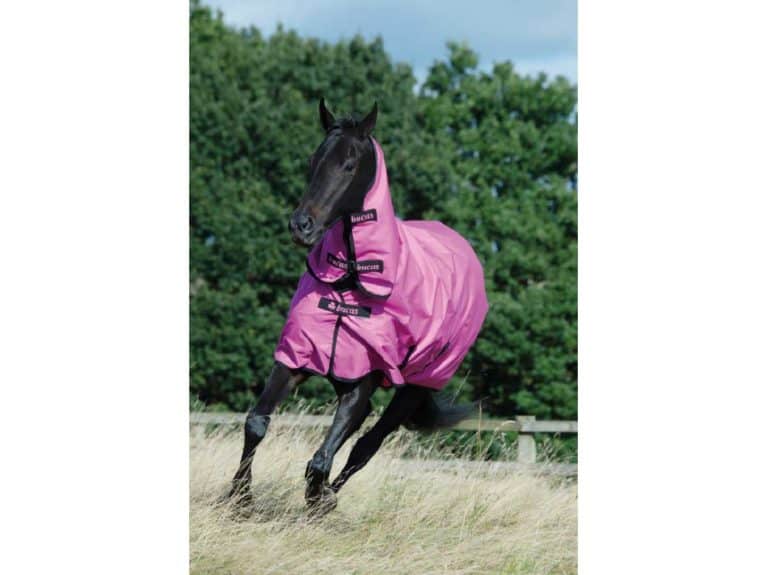 Bucas Freedom Turnout rug