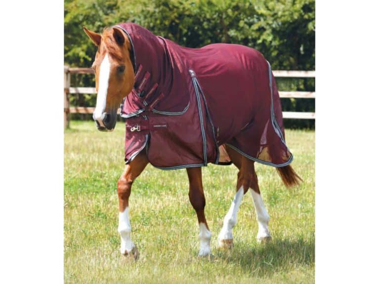 Combo mesh air fly rug