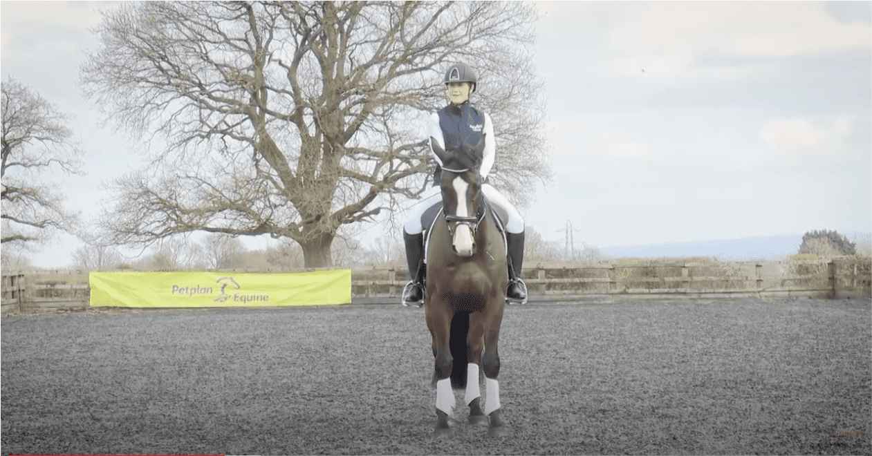 Dressage to music with PetPlan Equine