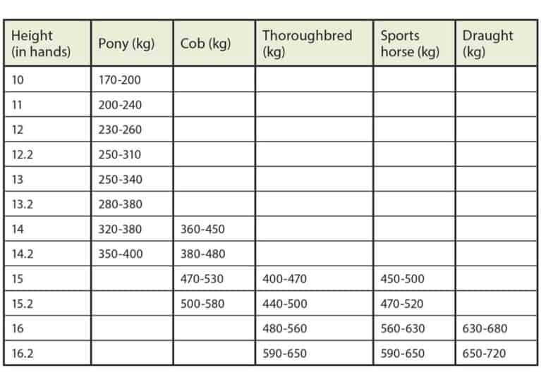 Equine weight chart