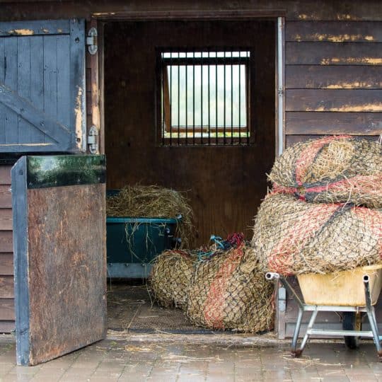 Hay in haynets for a stable