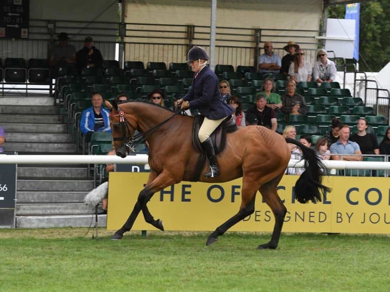 RoR-Queen's-horse-winning-at-Burghley