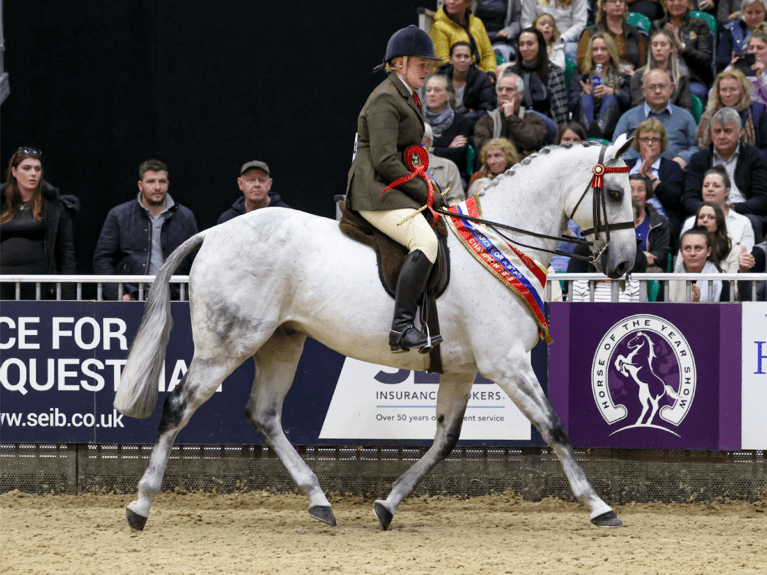 SEIB Search for a Star champions, Alex Windross and Herbie