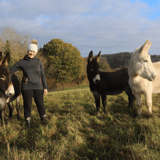Donkey-sanctuary-news-Dec2022