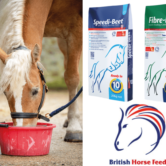 Speedi-Beet-Fibre-Beet-British-Horse-Feeds-comp March 2023
