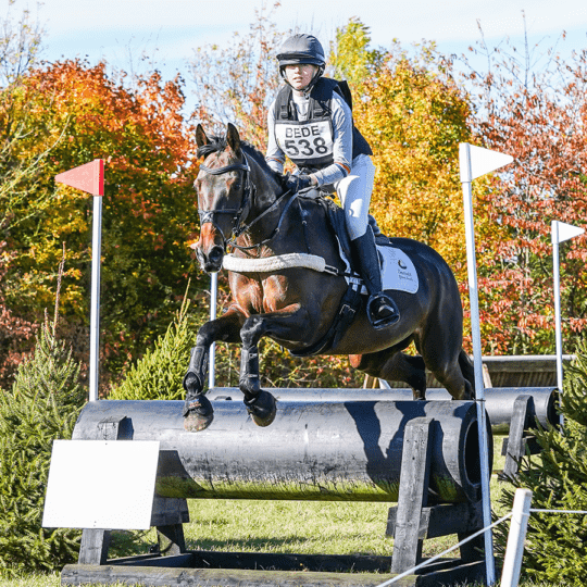 BE-new-eventing-league news 2023
