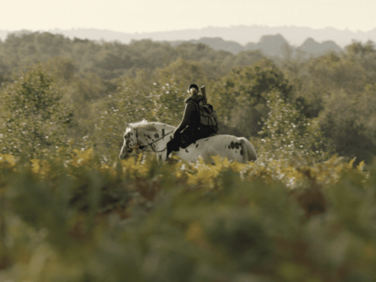 Equestrian-short-film-news-2023