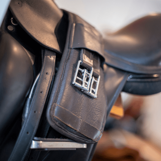 Master-saddlers-webinars-saddle-tack-fitting