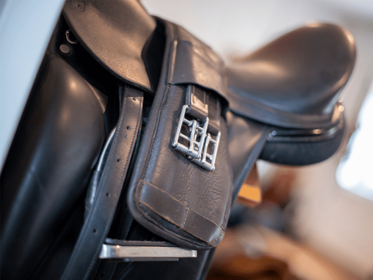 Master-saddlers-webinars-saddle-tack-fitting