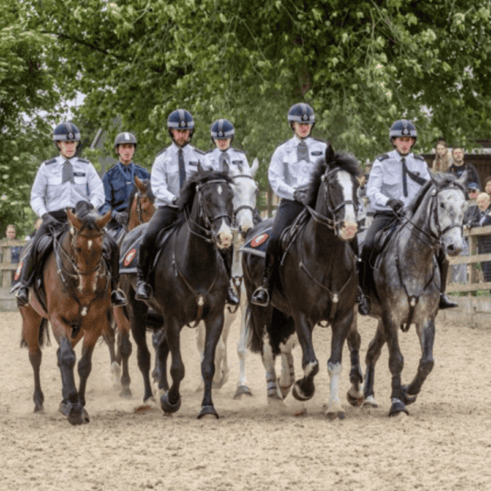 Horses,-Hounds-and-Heros-Horse-Trust-event