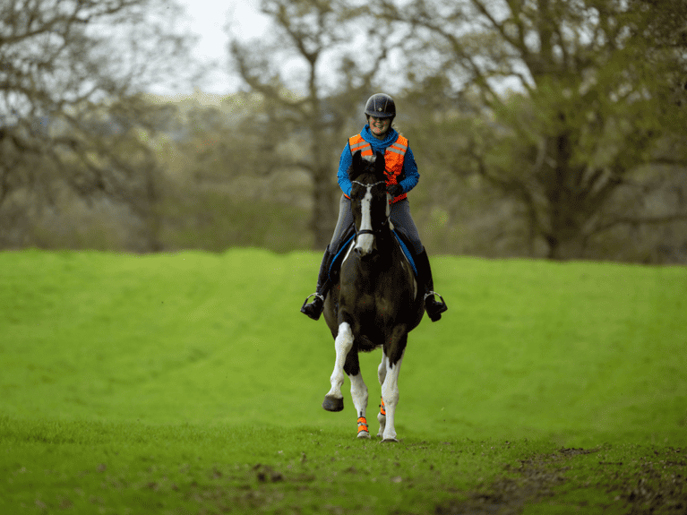 Ten-things-to-do-with-your-horse