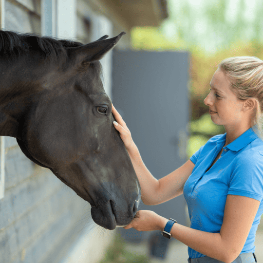 Cost-cutting-equine-tips-money-saving