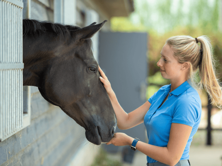 Cost-cutting-equine-tips-money-saving