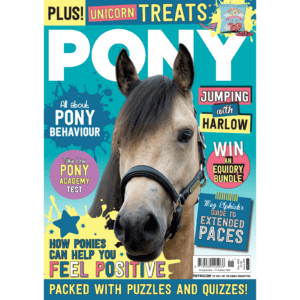 PONY magazine - November 2023