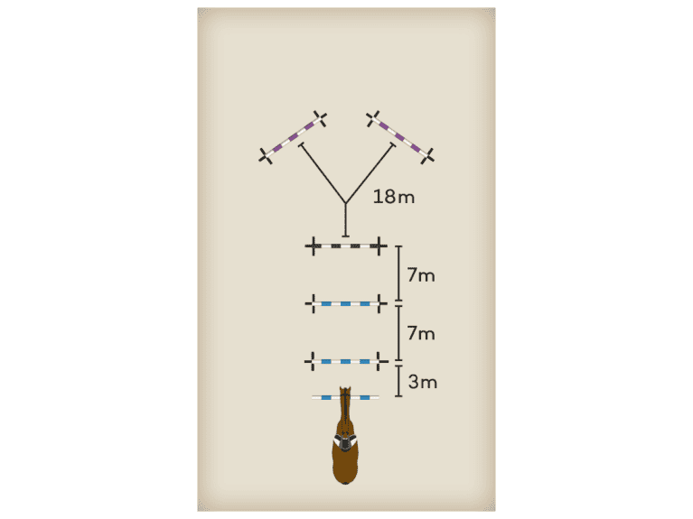 Yazmin-jumping-lead-set-up-diagram