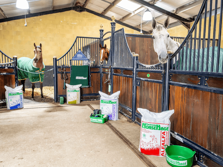 HorseHage-feeding-for-laminitis