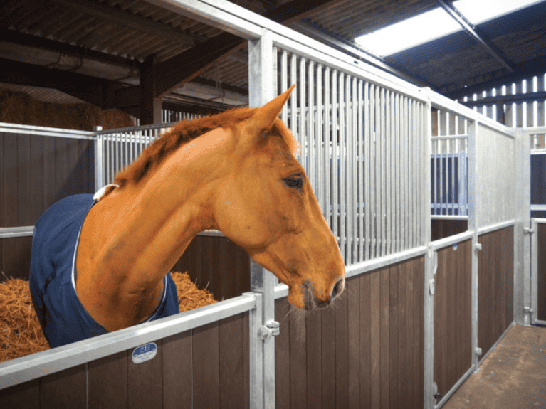 AE-Equestrian-Stabling