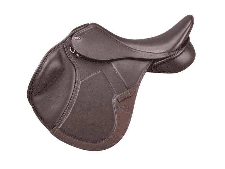 GFS-Transition-jumping-saddle