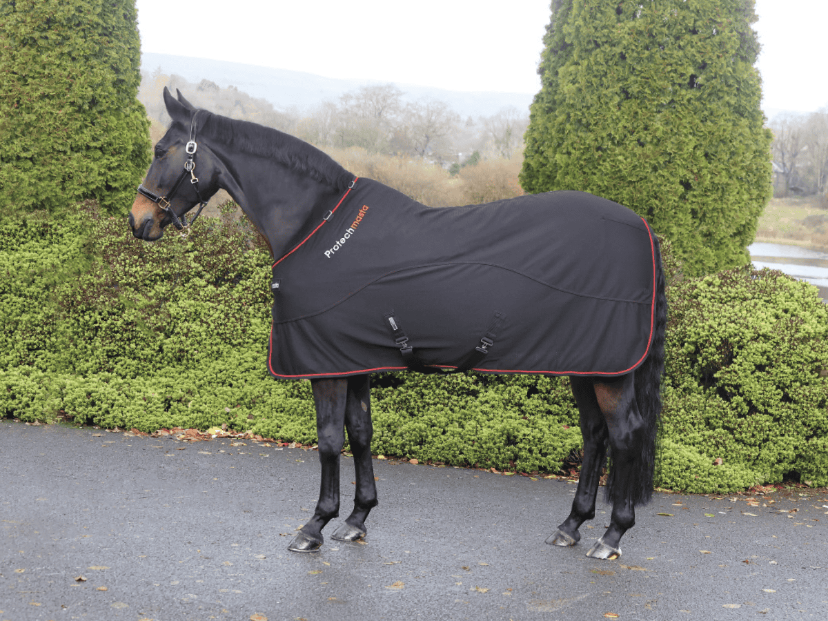 Therapy Rug Gear Guide | Equestrian product reviews and releases | Horse and Rider