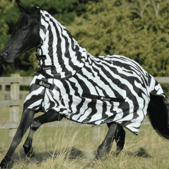 Bucas-Buzz-Off-full-neck-zebra
