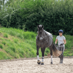 Next level long reining