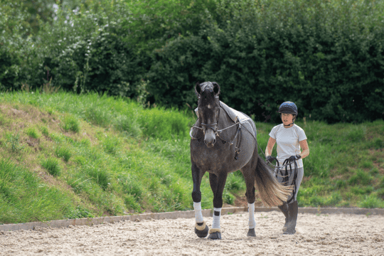 Next level long reining