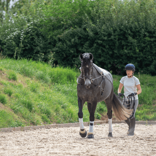 Next level long reining