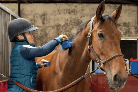 Pippa-post-ride-routine