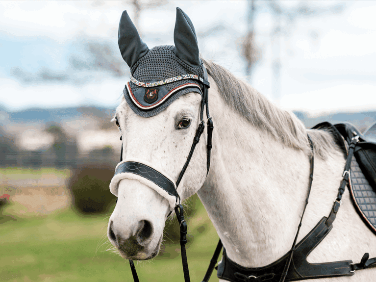 Bride De Corde Mustang Bitless - Pour Cheval - Occasion (matériel D'équitation Sans Mors)