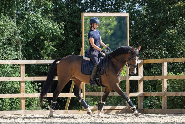 Building on the basics | Horse and Rider