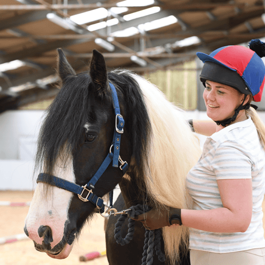 how to find the right horse
