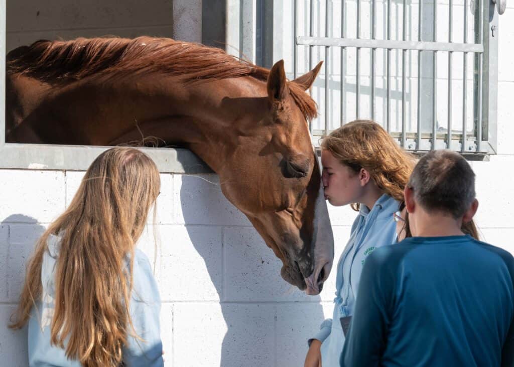 National Racehorse Week 2026 to offer more than 10,000 free places at