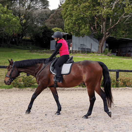 How to improve your horse's walk