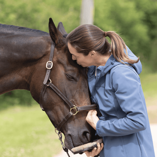Assessing your horse's quality of life