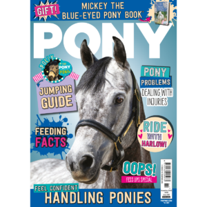 PONY Magazine – November 2026